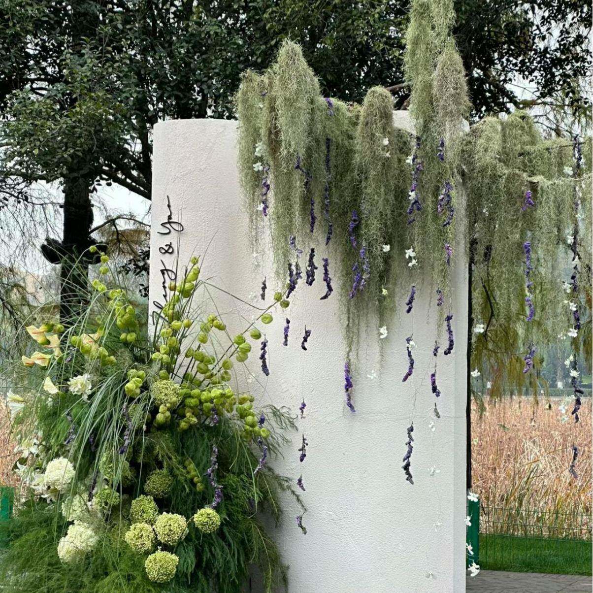 松萝老人须厂家直供空气凤梨无土植物婚礼鲜花婚庆布置