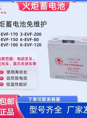 火炬蓄电池免维护3-EVF-170/200/4-EVF-150/6-EVF-80/100/120