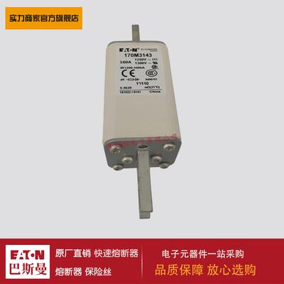 熔断器170M3140 170M3141 170M3142 170M3143 170M3144 170M3145