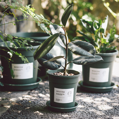 种绿萝多肉1/2/3/4加仑花盆z带托盘植物专用阳台家用塑料花盆圆形