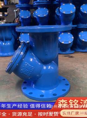 Y型过滤器GL41H法兰过滤器污水过滤球墨铸铁材质承压25公斤
