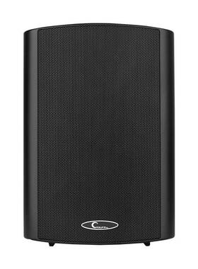 CTRLPA CL611B店铺广播壁挂音箱 室内定压挂壁喇叭墙挂式会议音响