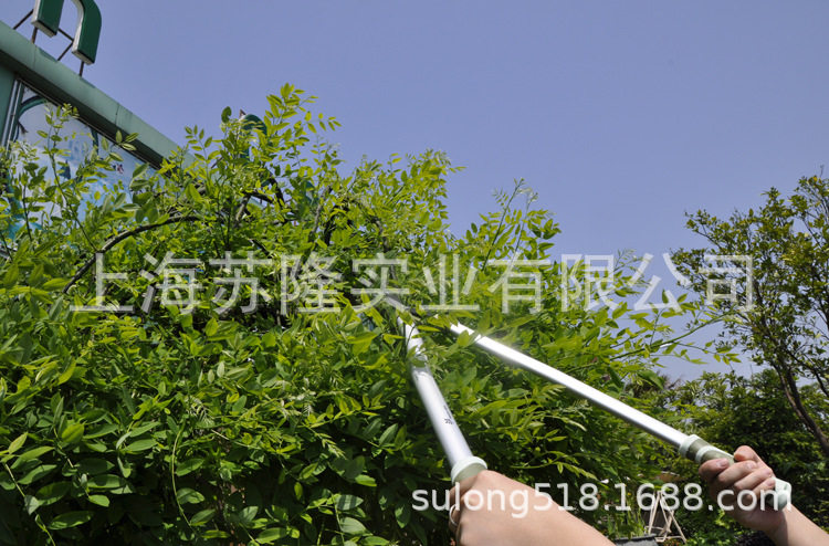 沃施1238大力剪 65号锰钢园林园艺工具 高树枝高空剪