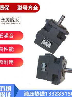 YLC仙居永灵叶片泵YB1-63 31.5 25 20 16 10 |6.3 4 10 20 25油泵