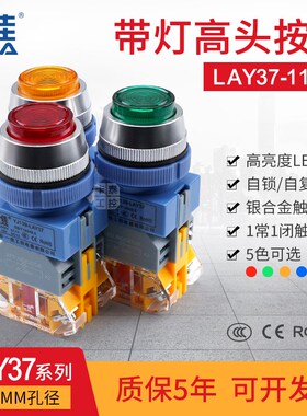 一佳带灯按钮开关LAY37-11DN高头30mm开孔自锁自复AC/DC24V220V 3