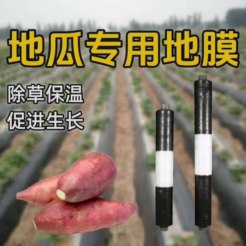 农长黑除保湿地膜黑白地瓜种菜种植双色薄膜防草杂红薯盖不长相间