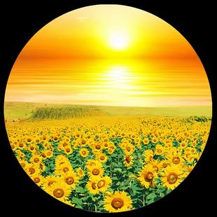 向日葵贴画客厅卧室玄关装 饰画向日葵花卉自粘贴纸简约圆形贴P341