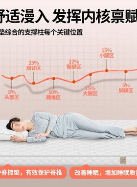 棕床垫家用卧榻室护脊软榈SQY乳胶儿童棕垫厚榻米硬椰垫子定棕制