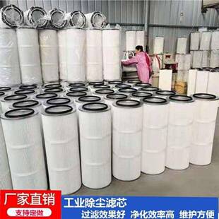 六耳快除FGZ尘滤芯滤滤筒塑粉工业芯除尘静拆电喷涂喷粉喷塑滤芯