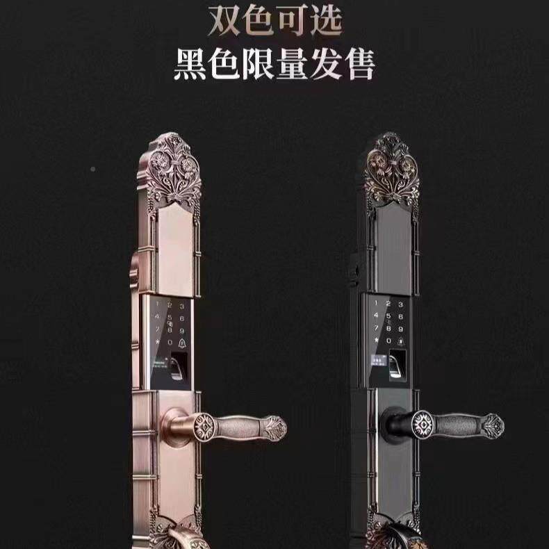 别墅大门门指纹锁双门密码开锁家用防盗子锁欧式铜电门-智能锁