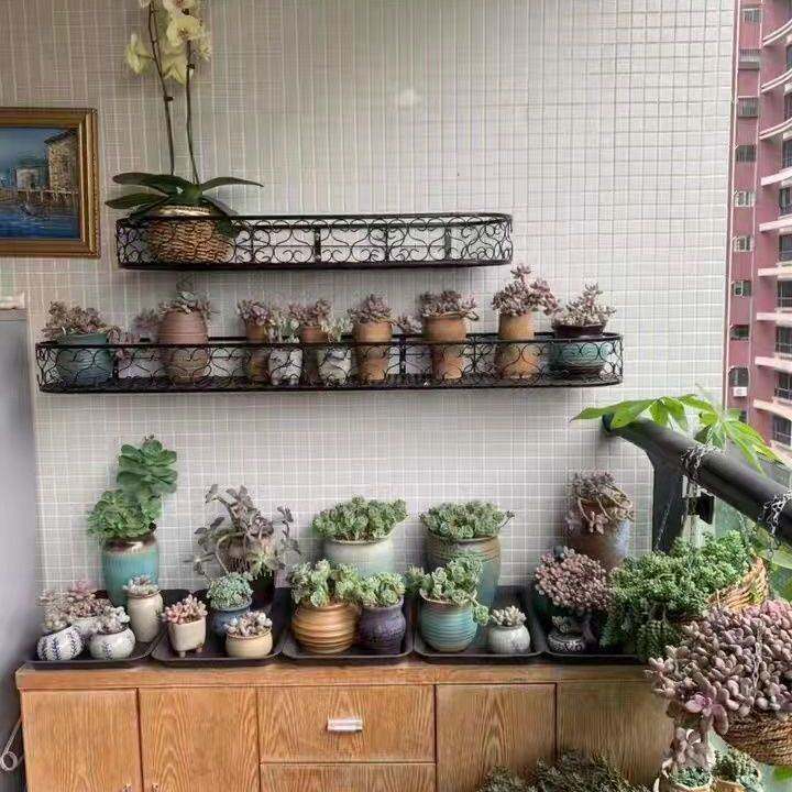 欧式阳台实体墙花架悬挂式栏杆花架多层壁挂式铁艺绿萝花盆架刚逸