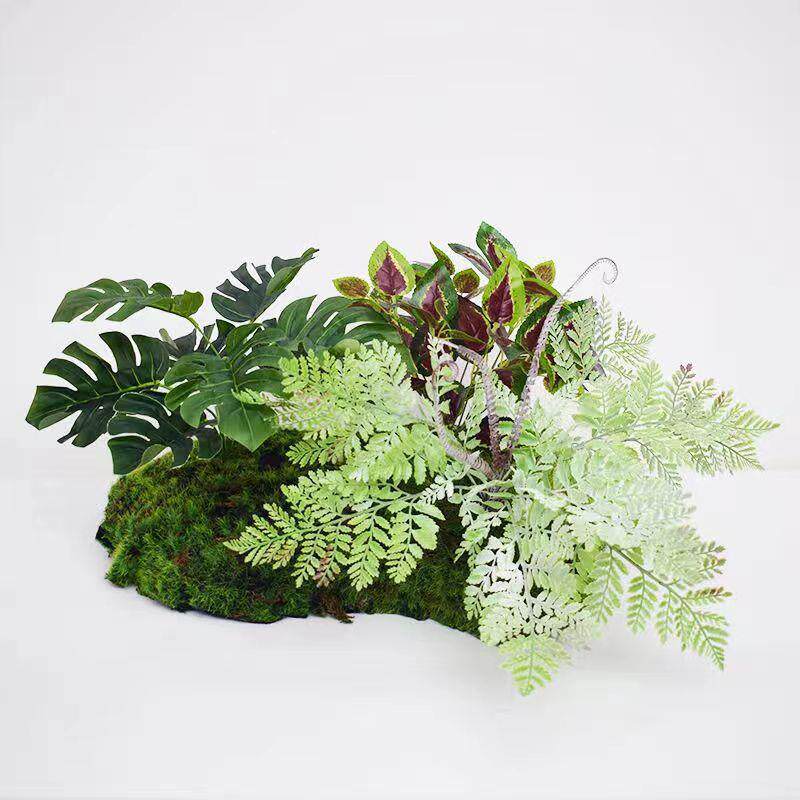 仿#of242真苔藓鼓植景物室内客装饰微景草皮厅绿包植造绿植景观草