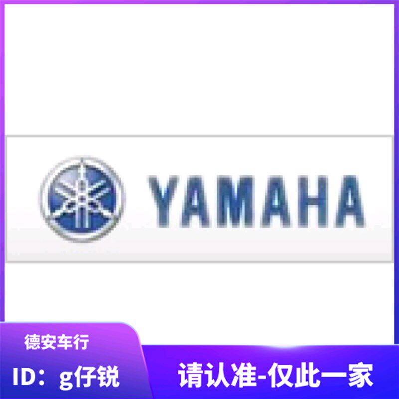 3代4代新劲战 BWSR/FORCE/SMAX原厂原装前减震前避震前叉内管叉芯