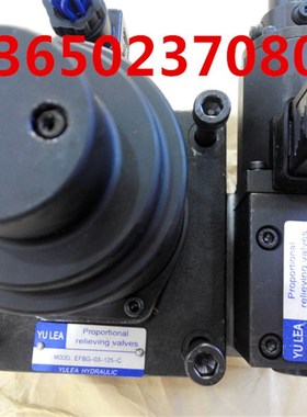 EFBG-03-160-C注塑机双比例阀EFBG-03-160-H压铸机 比例溢流阀