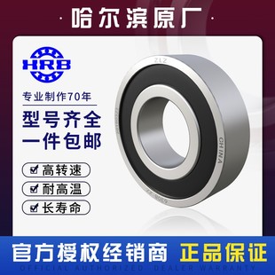 6303 6304 2RZ 6301 6307 6302 6306 哈尔滨HRB轴承6300 6305