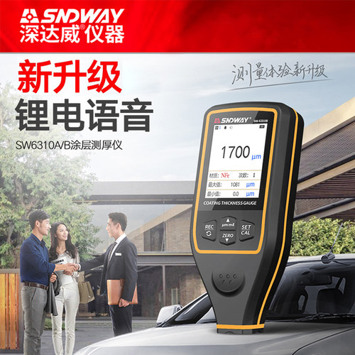 深达威(SNDWAY)涂层测厚仪SW-6310 漆膜仪汽车漆面厚度检测仪