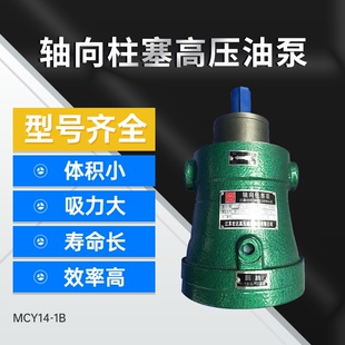 1B轴向柱塞泵直销 启东高压油泵10 160 250MCY14 100
