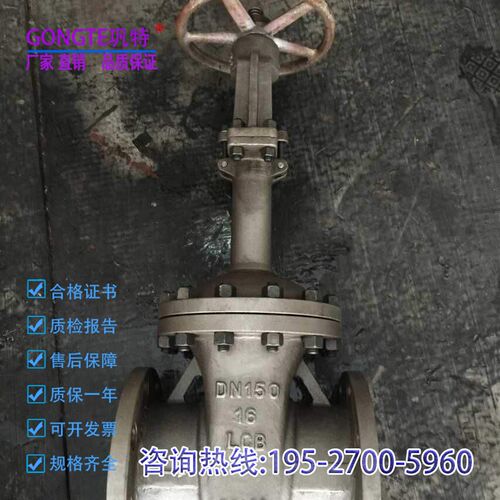 DZ41Y/W/H-16P/25不锈钢低温闸阀法兰天然气二氧化碳液氮液氨液化