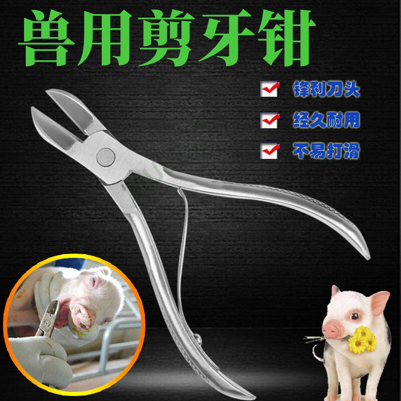 不锈钢剪牙钳仔猪剪牙钳猪用剪齿钳小猪兔子兽用断牙钳养猪设备
