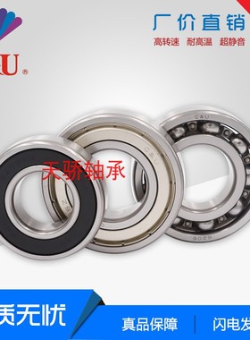 SA6202RZ/Z1 SA6303RZ 203 304 6302人本汽车发电机专用轴承 水泵