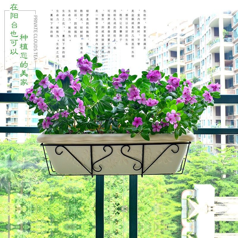 种菜盆阳台种菜神器花盆挂架栏杆悬挂式爱丽丝花盆壁挂长形种植箱