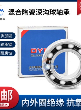 丹洋高速混合陶瓷球轴承6200 6201 6202 6203 6204 6205 6206ZZRS
