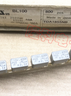 BL100方形大体积保险丝T10AL AC250V 大BL 10A 250V 灰色大东进口