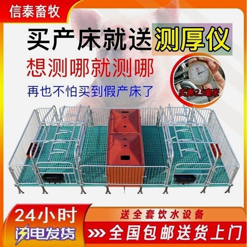 母猪产床进口产保一体猪用两用双体单体一整套老母猪加厚保育床