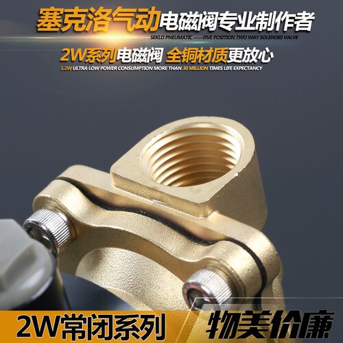 气动电磁阀2W200-20/6分常闭二通水阀铜DN20电磁控制阀AC220V 24V
