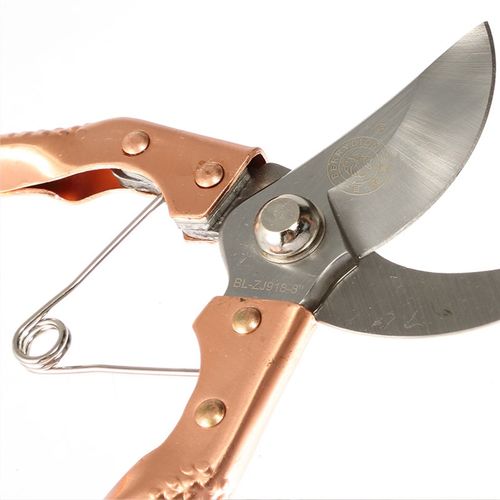 花草剪高档枝剪果树修枝剪花剪园艺剪多用剪刀修枝剪葡萄剪园林剪