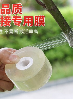 自粘嫁接膜苗木果树嫁接专用膜无需打结薄膜包装膜嫁接绑带包扎带