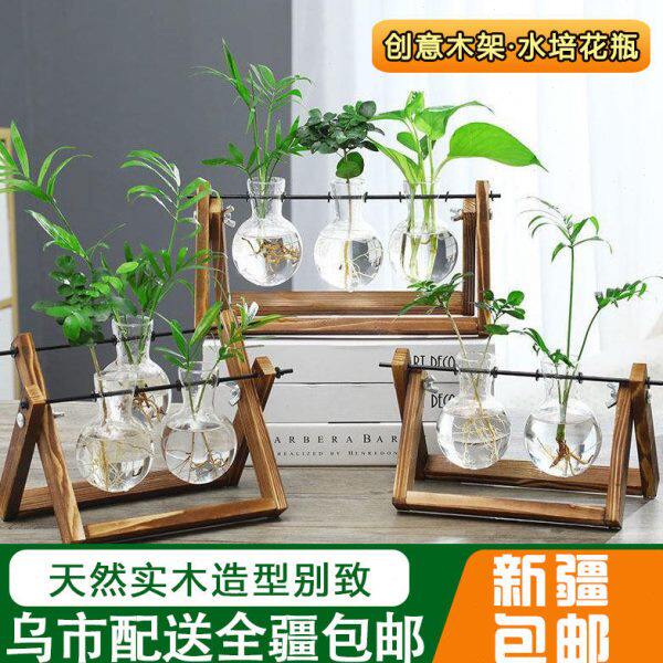 新疆包邮创意木架桌面水培玻璃花瓶养绿萝植物花盆容器摆件办公室