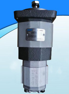 TCH组合泵 双联齿轮泵油泵CBTKd-G8.5/F1CFZ +CBWN2-F1.0-TL1B1