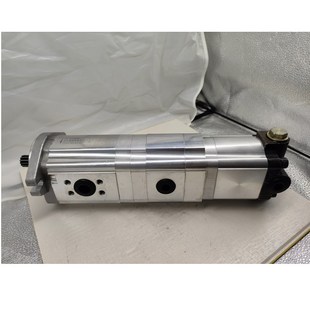 D20 F10 AFLH12江苏淮安福斯特液压转向恒流溢流齿轮泵 F36 CBTL