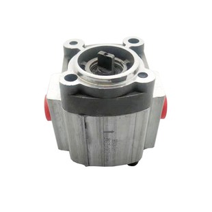 F2.0 F1.6 F1.2 齿轮泵CBD F4.3 F2.5 0.8 F5.8汽车专用 F3.2NF