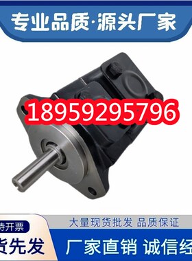 T6E-057-1R00-A1丹尼逊高压叶片泵 T6C T6D T6E-045/062/052/050