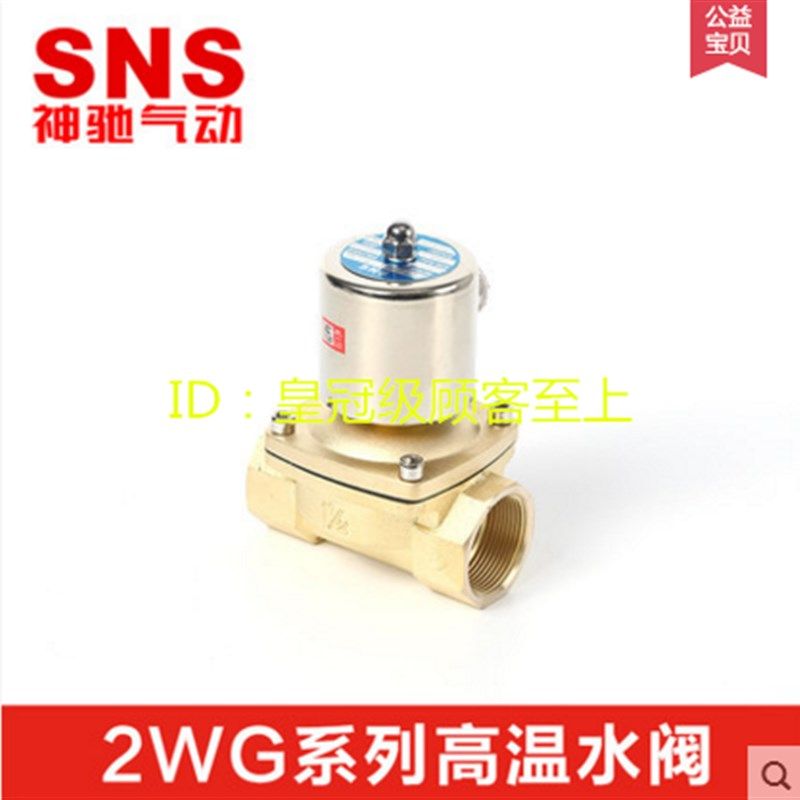 SNS神驰高温全铜电磁阀2WG025 040 160 200 250-08 10 15 20 25