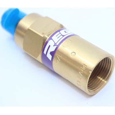 REGO美国力高PRV9432T,9434TP安全阀275C/415PSIG/255/145/150psi