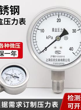 YE100BF 不锈钢膜盒压力表 微压表 膜片 瓦斯kpa mbar 上海仪民