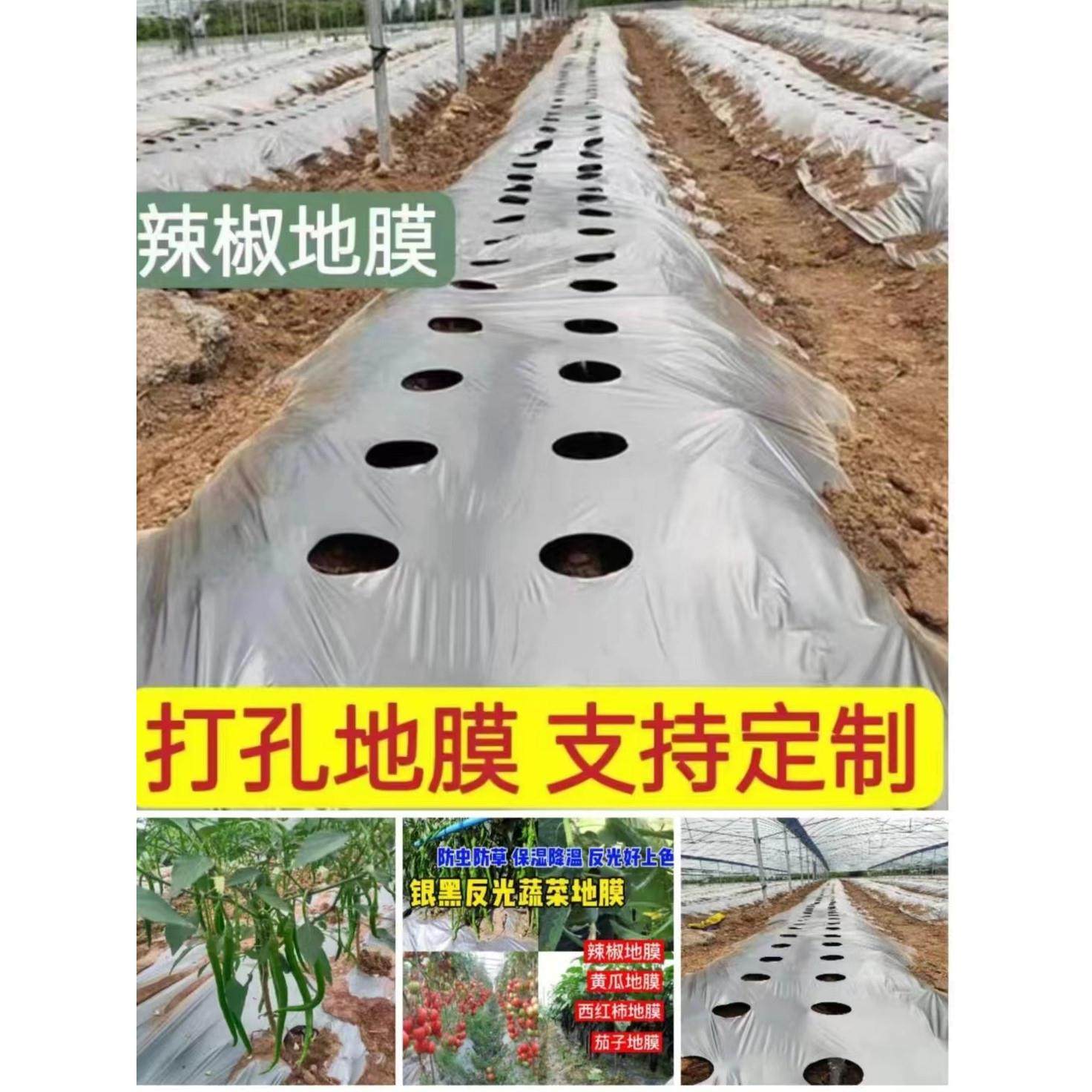 开孔地膜免打孔银黑防草打孔地膜辣椒蔬菜花卉中草药除草地膜农用