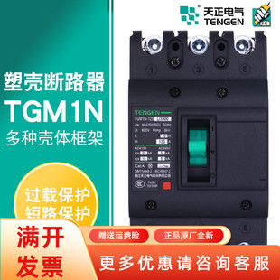 TENGEN天正TGM1N三相塑壳断路器63A 100A 160A200A250A空气开关
