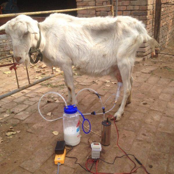 电动小型挤羊牛奶器吸羊奶机器家用羊牛用挤奶器4斤装2L3L脉冲,农机/农具/农膜,农用防护器具,淘宝优惠券,粉丝福利购,淘宝优惠卷