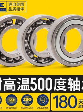 JAE耐高温500度轴承FTS5 6000 6001 6002 6003 6004 6005 6006 2Z