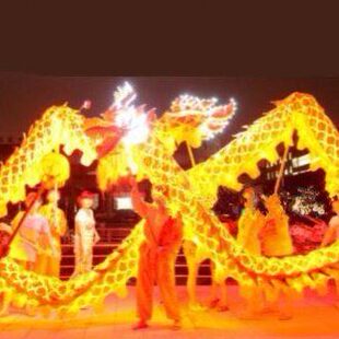 舞龙舞狮灯光绸缎布龙 夜光龙 舞台道具 舞龙龙灯元道具9节10人组