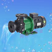 402PW 磁力泵NH