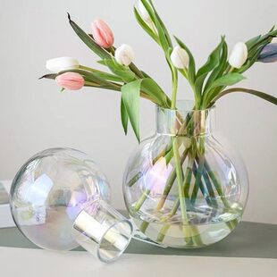 人工吹制大肚玻璃花瓶插花水养玫瑰百合容器桌摆客厅餐桌摆件