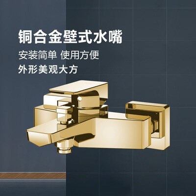 铜合金TOTO挂墙式淋浴花洒