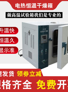 电热恒温干燥箱 101202系列电热鼓风干燥箱 高温烘箱 烘干箱