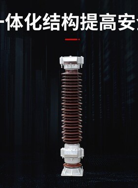110KV陶瓷氧化锌避雷器 Y10WZ-102/266 Y10WNZ-108/281 户外避雷