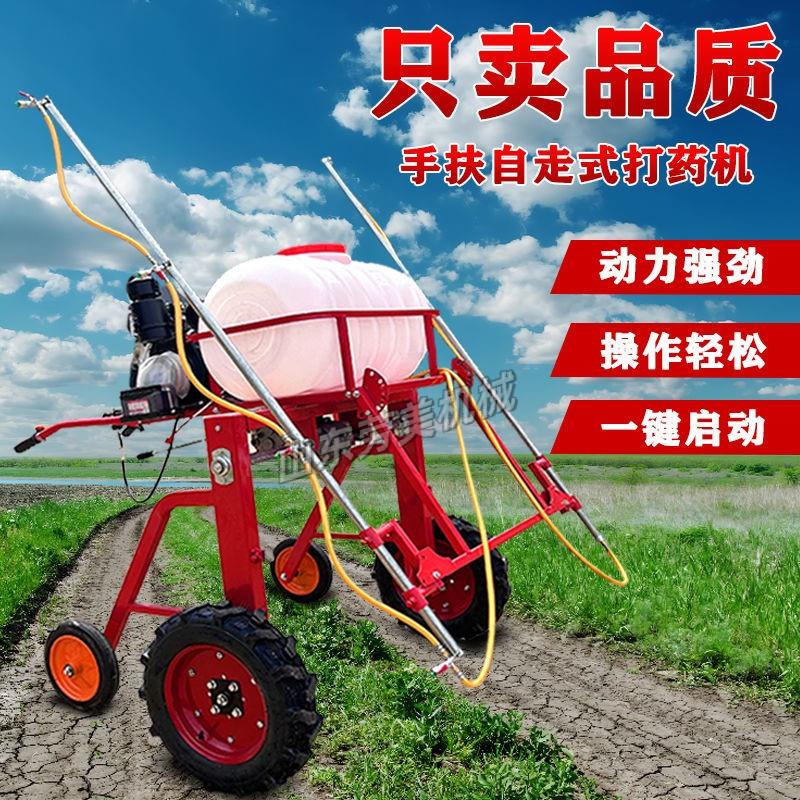 小型汽油喷药机手扶喷雾
